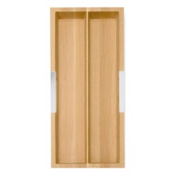 MODULO AGGIUNTIVO GO OUT