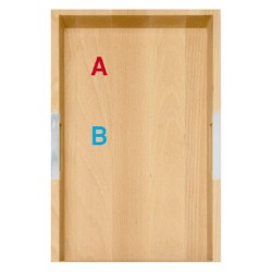 MODULO AGGIUNTIVO GO OUT