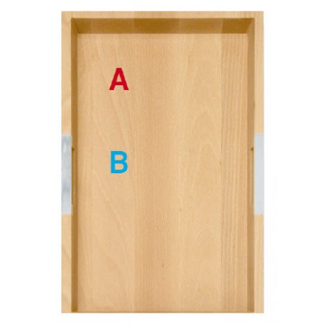MODULO AGGIUNTIVO GO OUT