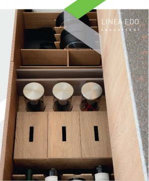 LINEA EDO